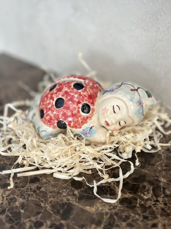 Skarbonka biedronka [Nuttalli]