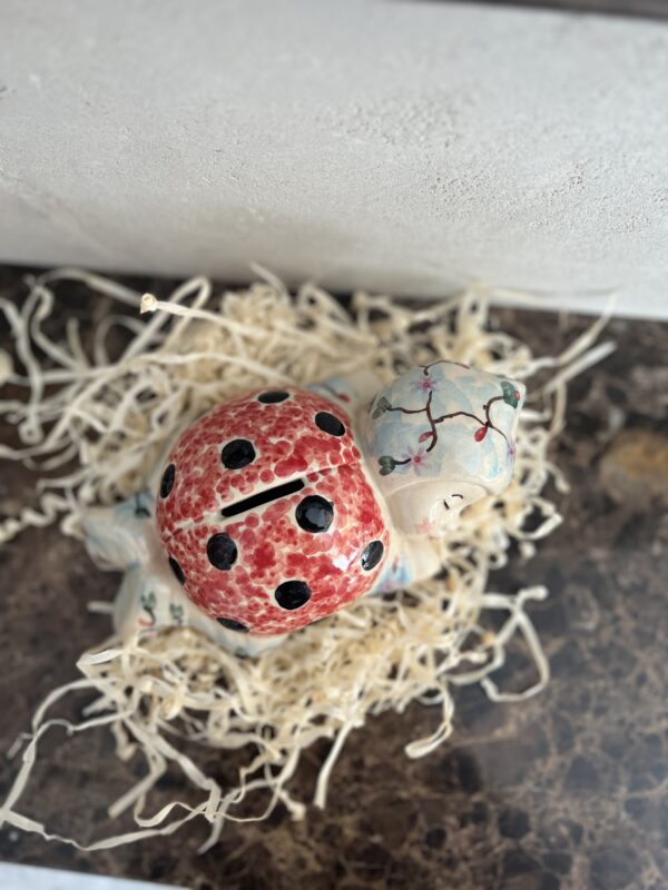 Skarbonka biedronka [Nuttalli]