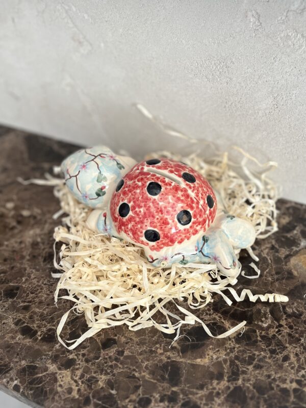 Skarbonka biedronka [Nuttalli]